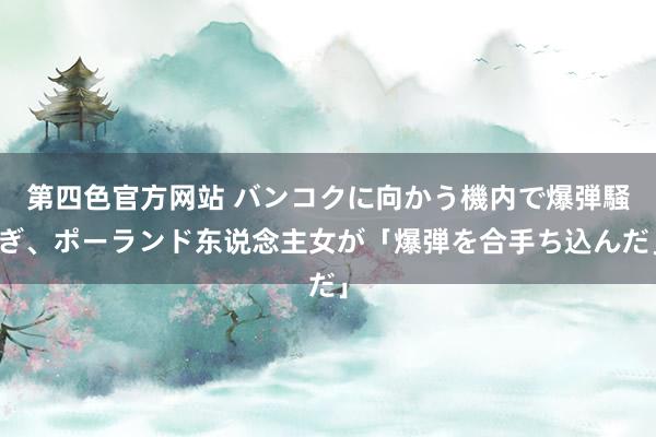 第四色官方网站 バンコクに向かう機内で爆弾騒ぎ、ポーランド东说念主女が「爆弾を合手ち込んだ」